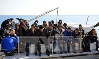 Италия спасла 1151 мигранта в море 