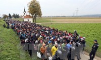 Число мигрантов, прибывающих в Европу, продолжает расти