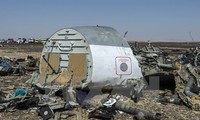 Президент Египта отверг заявление ИГ о нанесении удара по российскому самолету