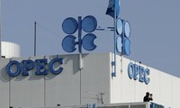 ОПЕК решила не снижать добычу нефти