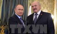 Путин встретился с президентом Республики Беларусь 
