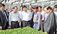 Президент Вьетнама Чыонг Тан Шанг посетил провинцию Ламдонг  