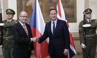 Чехия сделает максимум, чтобы Британия осталась в ЕС 