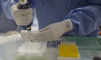 В Бразилии подтвердили случаи заражения вирусом Зика после переливания крови