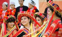 В Ханое проводится праздник «Весна во всех уголках страны» 