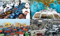 Динамичное развитие экономики Вьетнама способствует созданию благоприятного бизнес-климата