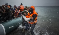 ЕС высоко оценил инициативу Италии по решению миграционной проблемы