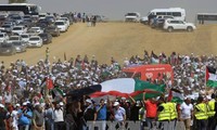 Египет отметил необходимость реализации принципа «двух государств» Палестины и Израиля