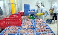 Еще 12 предприятий Вьетнама по переработке бесчешуйчатой рыбы получили разрешение на экспорт в США