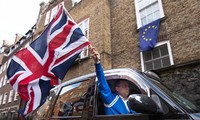 Более 2 млн британцев призвали к повторному проведению референдума 