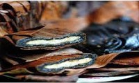 Пирожок «Гай» - деликатес провинции Намдинь 