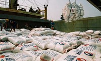 Во Вьетнаме разработана стратегия экспорта риса на 2016-2020 годы