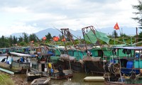 Во Вьетнаме проявляют бдительность в отношении тайфуна «Сарика»