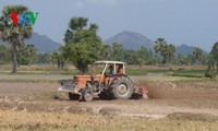 Необходимо развивать ключевые экономические зоны дельты реки Меконг с учётом изменения климата