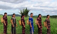 Плетение наспинных корзин – традиционный промысел народности Кохо