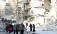 Турция и Россия призвали прекратить боевые действия в Сирии