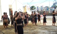 В провинции Контум  открылся фестиваль «Аромат весны года Огненого петуха»