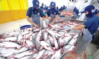 В 2017 году объём экспорта морепродуктов продолжит расти