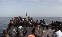Сотни мигрантов были обнаружены у берегов Ливии