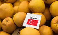 Россия сняла запрет на ввоз в страну некоторых турецких сельхозпродуктов 