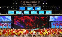 В Хайфоне проходит праздник «Делоникс королевский» 2017