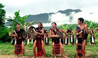 Народные песни и традиционные музыкальные инструменты народности Седанг