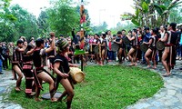 Праздник народности Седанг, посвященный собранному урожаю 