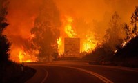 Президент СРВ направил португальскому коллеге телеграмму с соболезнованиями в связи с лесным пожаром