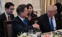 Президенты США и РК обсудили проблему КНДР и вопросы торговли