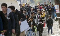 Австрия призвала ЕС и Италию приложить усилия для немедленного прекращения миграционного кризиса