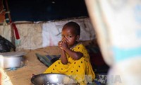 ООН призвала предотвратить голод, угрожающий 20 млн. человек в Йемене, Сомали, Южном Судане и Нигери