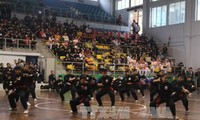 Во Вьетнаме открылся 26-й национальный чемпионат по традиционным боевым искусствам