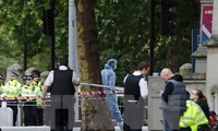 Новая волна терроризма может захлестнуть Европу