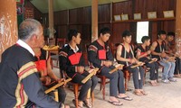 Бамбуковые гонги – особая культурная черта народности Эдэ