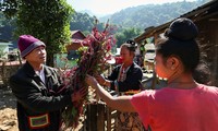 Праздник цветов народности Конг в провинции Диенбиен