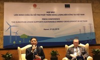 ЕС оказывает Вьетнаму поддержку в устойчивом энергетическом развитии
