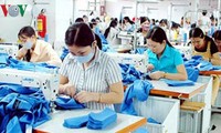 Развитие профсоюзных организаций Вьетнама на фоне международной экономической интеграции страны