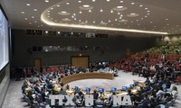 США наложили вето на проект резолюции СБ ООН о защите палестинцев