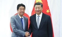 Япония и Китай договорились координировать усилия для осуществления денуклеаризации Корейского полуострова