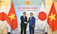 Вице-премьер, глава МИД Вьетнама провёл переговоры с министром иностранных дел Японии