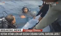 Найден чёрный ящик рухнувшего в Индонезии самолёта 