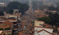  Вьетнам осудил нарушения мирного соглашения в Центральноафриканской Республике