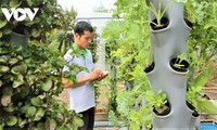 Молодые вьетнамцы занимаются экологически чистым сельским хозяйством