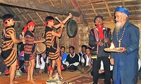Народность кор ежегодно проводит ритуал, посвященный собранному урожаю