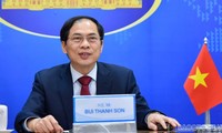 Глава МИД Вьетнама провёл онлайн-встречи с министрами иностранных дел Австралии, Малайзии и Филиппин