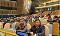 Представителя Вьетнама переизбрали в Комиссию международного права ООН 