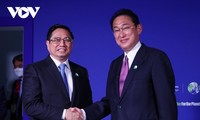 Вьетнам намерен вместе с Японией открыть новую страницу в отношениях двух стран 