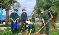 В городе Дананг стартовала новогодняя акция посадки деревьев
