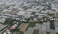 Необходимо сосредоточить усилия для развития дельты реки Меконг 