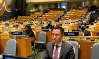 Вьетнам одобрил усилия ООН по укреплению доверия и дружеских отношений с целью снижения ядерных рисков 